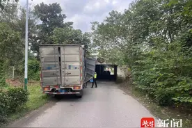 桥头牌子清清楚楚！货车司机无视限高牌，过桥洞时撞了图片