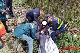 一家三口驾车遇高速堵车，丈夫下车“方便”离奇失踪！10小时后在高速路桥下被找到图片