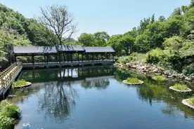 连云港花果山景区：山水为脉 文化铸魂 奋力绘就“西游名山”图片