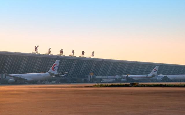 进博会期间，浦东空港通关攻略来了！