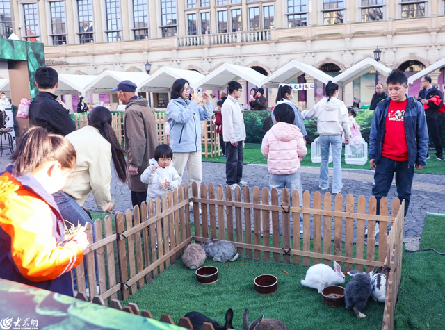 繁花、市集、音乐……青岛红树林度假世界清明小长假打造春日浪漫休闲之旅