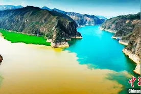 临夏有约：“泾渭分明”的黄河奇观里有条鱼图片