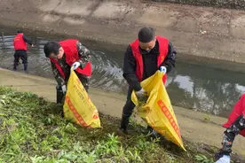 洪湖市大同湖管理区：清渠洁岸掀热潮 实践所长当先锋图片