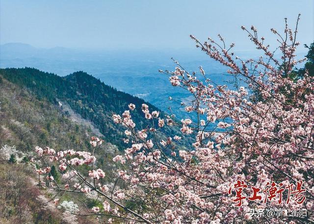 探寻南岳72峰丨紫盖峰：南岳第二峰的千年“不朝”风骨