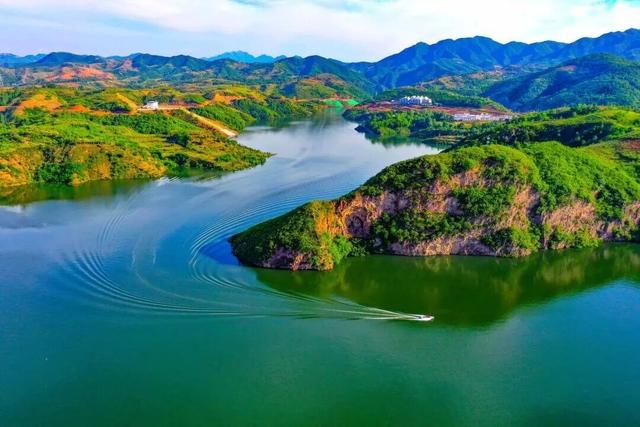 季节限定！洛阳些“海”人少景美，快出发！