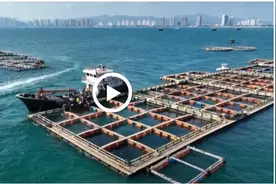 【中国那些事儿】联合国官员：跨越山海，共促发展 中非携手为南南合作树立典范图片