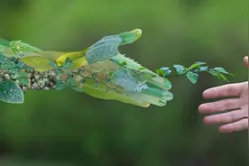 人形机器人概念获热炒 三花智控股价午后封涨停图片