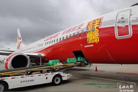 ​祥鹏航空承运195吨野生菌高效出滇图片