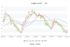 大金重工：2024年上半年净利润1.74亿元 同比下降36.23%图片