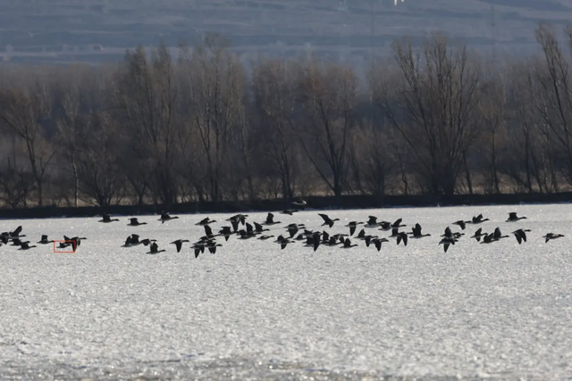 北京冬日限定“奇观”！就到月底！快冲→