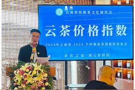 冰岛老寨古树茶毛料9.5万元/公斤，云南1024个村寨春茶预报价出炉图片