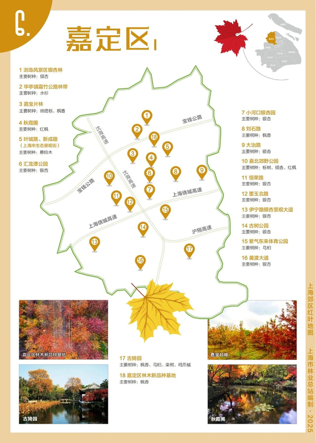 申城郊区红叶地图新鲜出炉 带你走进五彩金秋