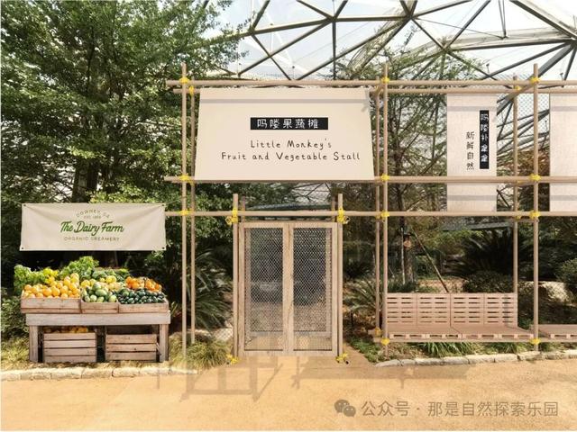 内含福利！江宁这个主题乐园月底开放→
