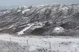 一中国游客在日本滑雪场遇难！遗体在森林中被发现，大部分埋在雪中！警方已介入调查图片