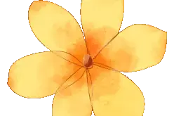 春风十里，我在科学城的“花海”等你图片