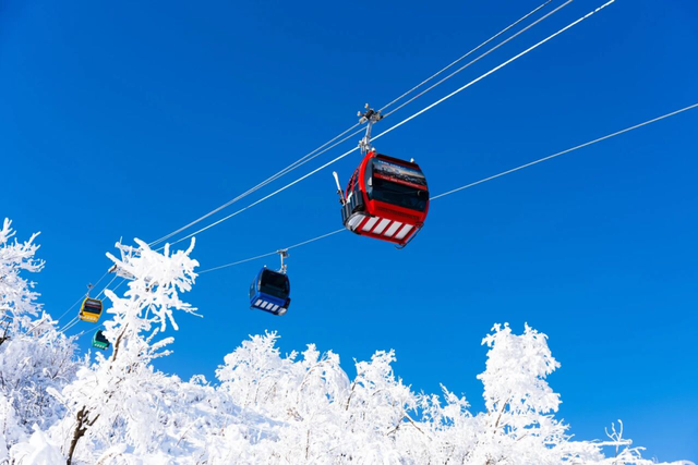 开园！洛阳这个滑雪场传来好消息…