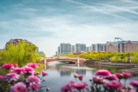 2025上海高考落幕！近百所高校现场答疑，助你圆梦理想大学图片