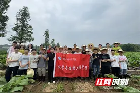 以劳育心 以技兴农——永州市农科所携手科院师生开展农业科技实践图片