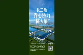 特稿｜长三角，齐心协力“挑大梁”图片