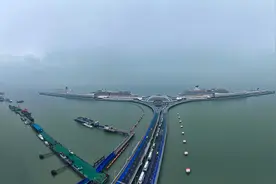 上海吴淞口国际邮轮港首迎“四船同靠”图片