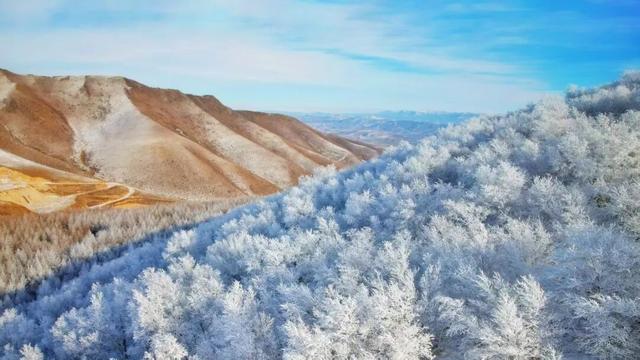 学习强国 | 河北崇礼：桦皮岭上雾凇美