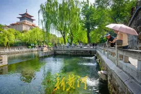 济南又放“大招”了！图片