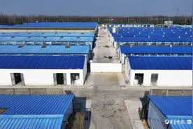 微记录·最聊城｜一年能卖百万只，小镇飞出致富“鸽”图片