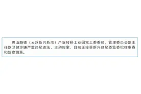 主动投案！佛山顺德（云浮新兴新成）产业转移工业园党工委委员欧卫健被查图片