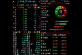 上半年增收不增利，万华化学盘中跌超4%图片