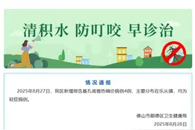 最新！顺德新增4例基孔肯雅热病例图片
