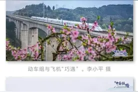 太美了！当列车邂逅花海……图片