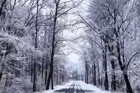 全国最豪横的特产：长白山“新三宝”！图片