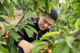 孟州：特色林果兴村富农图片