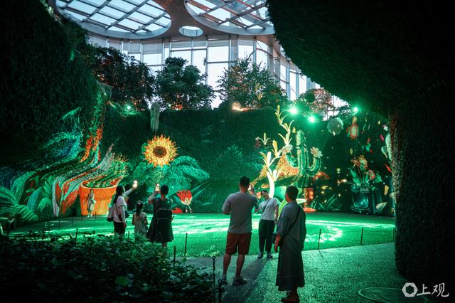 城事｜星光与绿意交织：上海温室花园夜游点亮夏夜生活