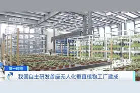 世界首例！我国自主研发！图片