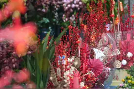 年宵花哪里买？这份花市名单快收好→图片
