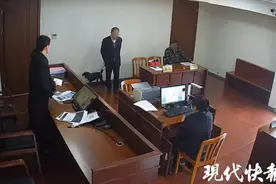两男子为争狗狗抚养权对簿公堂，法院请来了“当事汪”图片