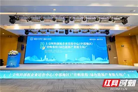 以并购重组为抓手，湖南“以企带链”促进绿色能源产业链升级图片