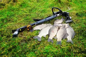 男子捕捞河鱼后放进自家承包塘售卖，因涉嫌非法捕捞水产品罪被起诉图片