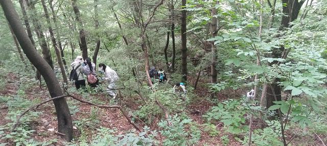 小秦岭 复一方绿，青山渐成科研金山