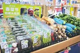 吃春菜，品“舌尖上的春天”（知食点）图片