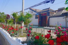 陕西千阳县水沟镇：“三向发力”攻坚环境顽疾 擦亮和美乡村底色图片