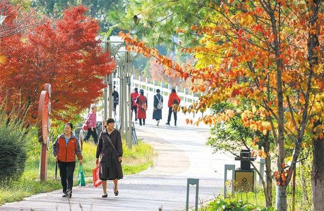 色彩斑斓 秋景如画