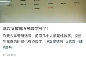 鄂A纯数字号牌大量发放？交警回应图片