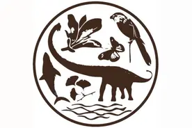 正值盛花期，从入门到资深 玉兰赏花宝典在此图片