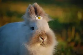 5类人的耳朵可以“经常掏”！对听力有好处图片