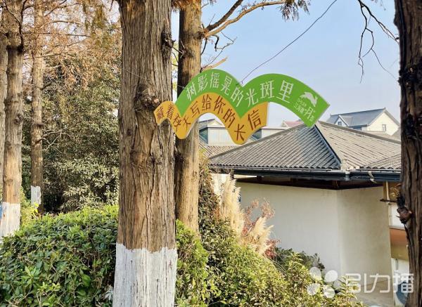 解锁江南春日多元体验 20条春季乡村游线路邀你体验