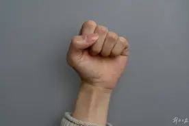 律师解读女格斗员遭猥亵：这个“手”到底该不该“还”？图片