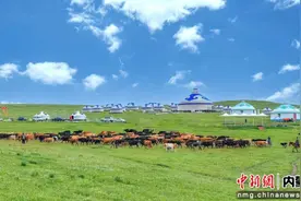 红石崖草原敖包文化旅游节6月18日启幕图片