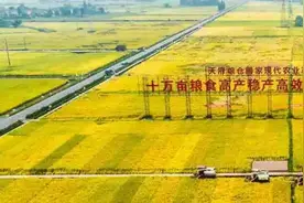 崇州新推八条措施，为城乡融合发展注入人才活力图片